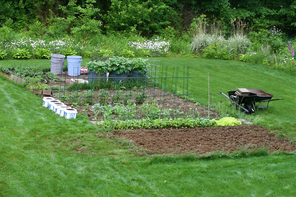 Potager en carrés fraîchement planté par Le Clos des Saules à Angers